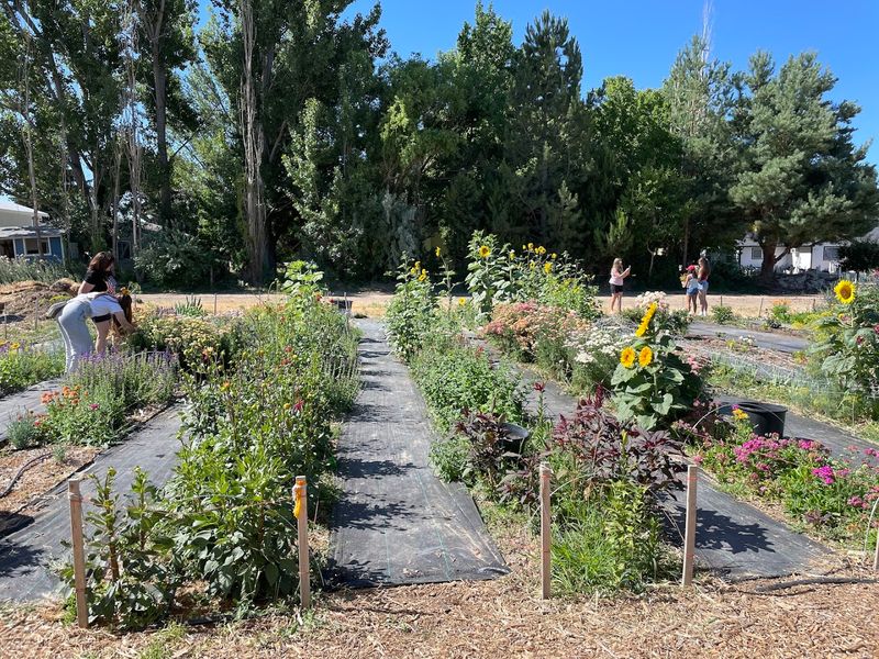 Nampa Gets A Colorful Farm Stop Made For Slow Wandering