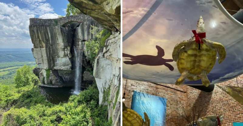 You’ve Called Georgia Home Your Whole Life And Still Haven’t Discovered These 10 Places