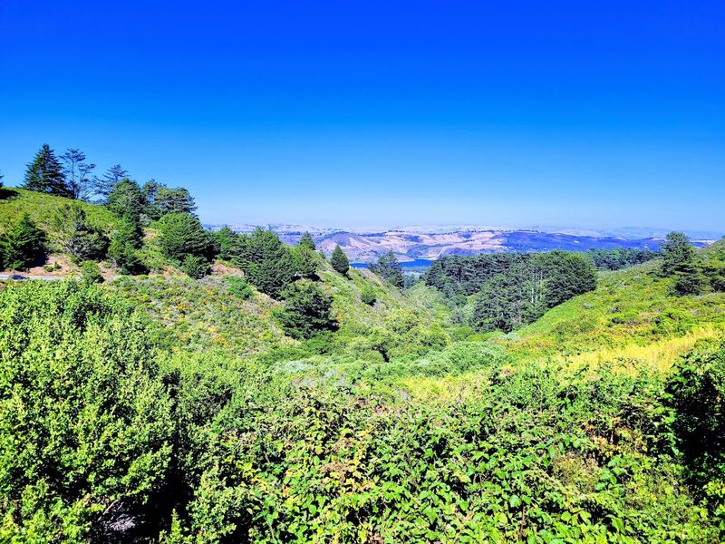 Vista Point Trail, Castle Crags State Park