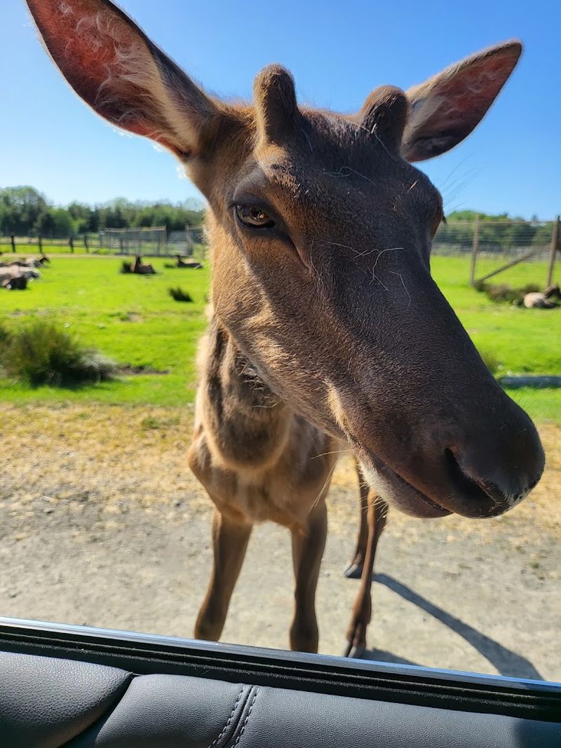 Tips for First-Time Visitors