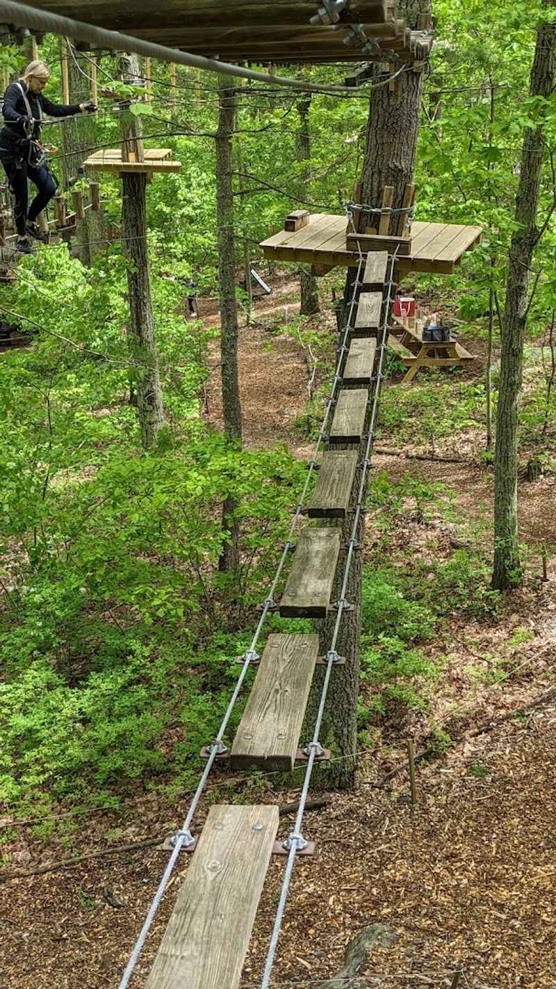 Ultimate Outdoor Adventure Spot In Connecticut Where The Trees Become The Playground - Decor Hint Pick Your Own Challenge Level