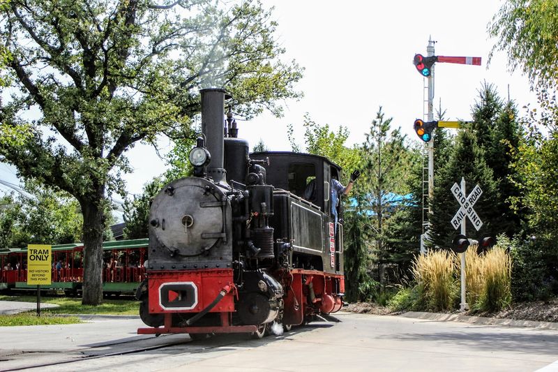 The Ride Is Particularly Valuable On A Hot Or Busy Day