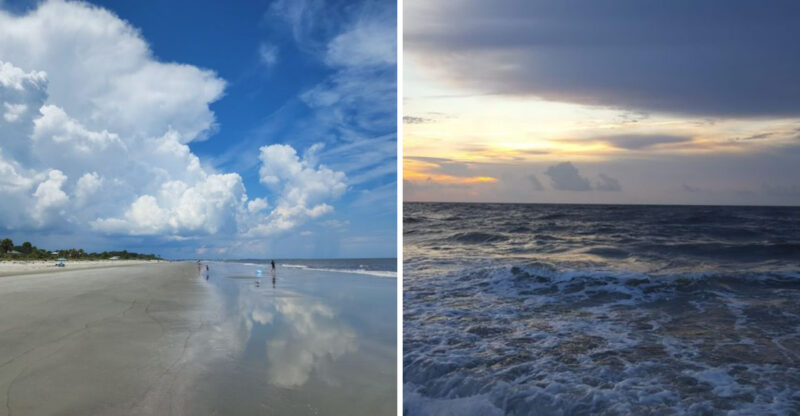 11 Georgia Beaches And Coastal Shores Seeing Jellyfish Warnings This Summer