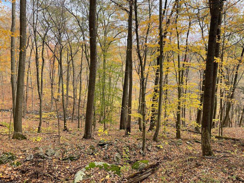 Cobble Mountain Trail, Kent