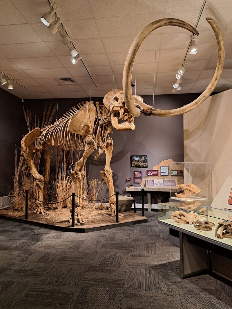 10 Fascinating Museums In Southern Idaho That Are Must-Visits In August - Decor Hint Herrett Center For Arts And Science, Twin Falls