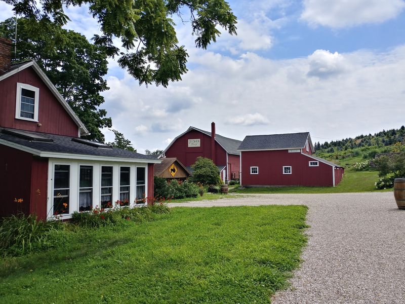 10 Fruit Farms In Connecticut That Belong On Your Summer Bucket List - Decor Hint Jones Family Farms, Shelton