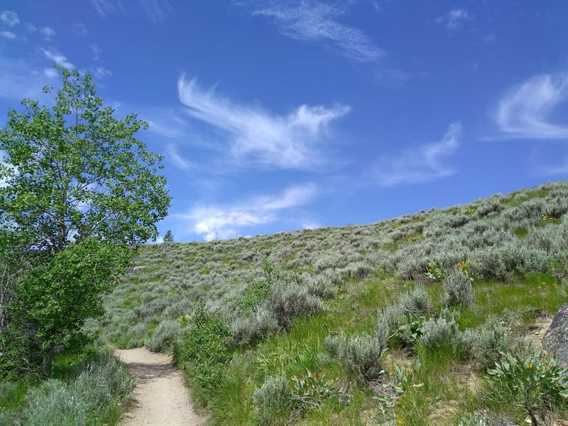 Fishhook Creek Trail, Stanley