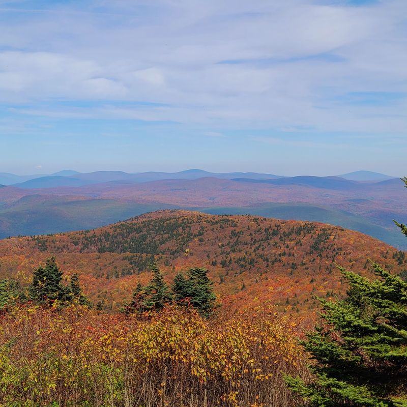 Mount Greylock State Reservation, Lanesborough