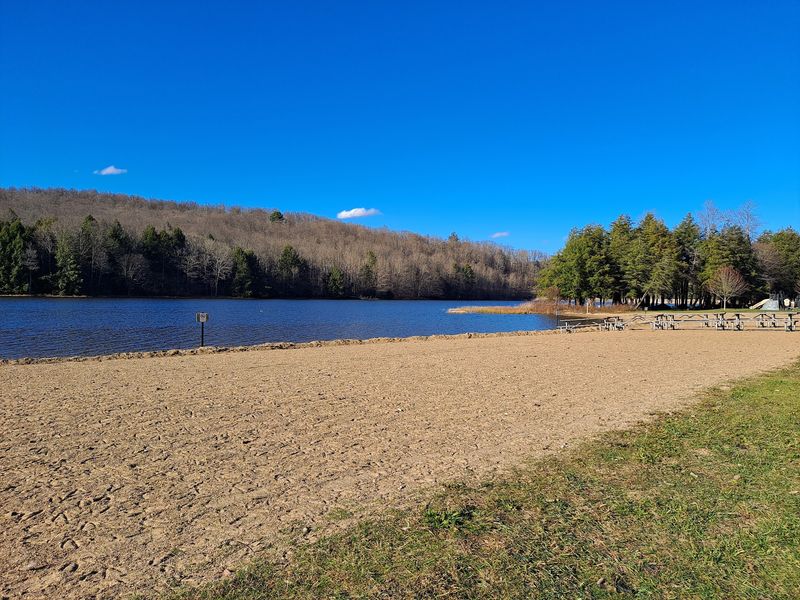 10 Quiet Lakes in Pennsylvania That Are Perfect For A Weekend Escape - Decor Hint Chapman State Park
