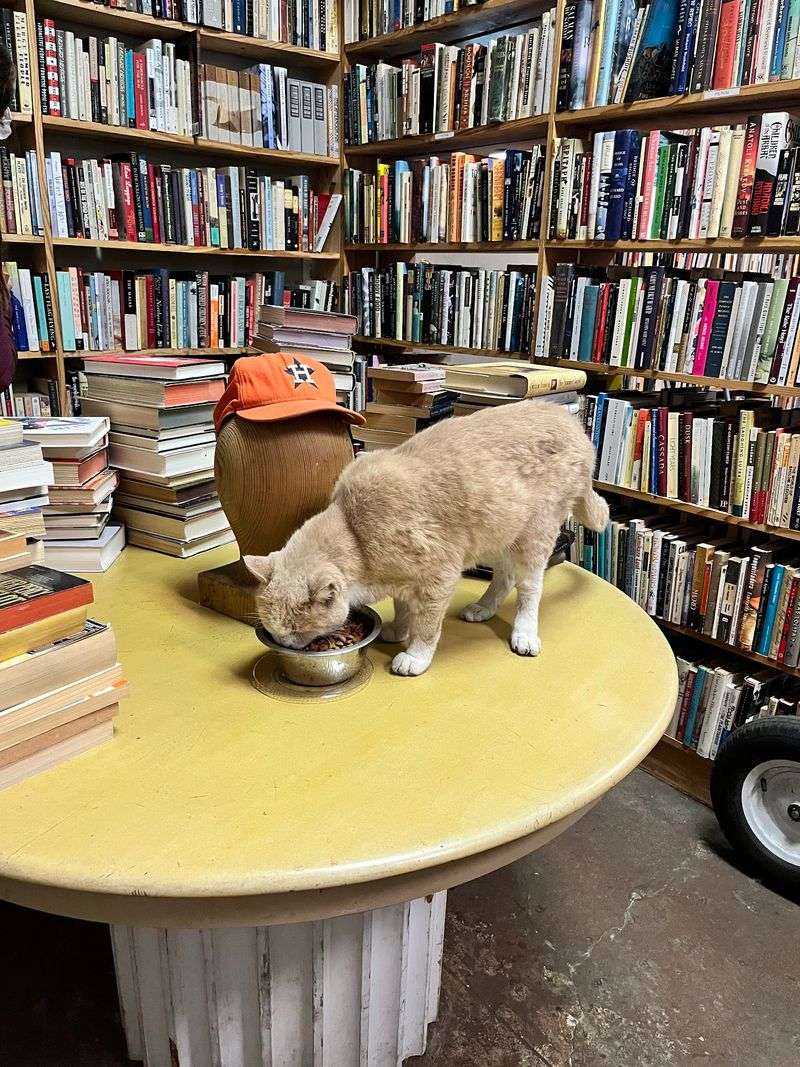 Kaboom Books, Houston