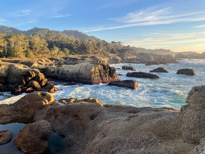 Point Lobos State Natural Reserve, Carmel