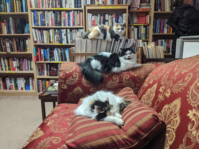 The Book Barn