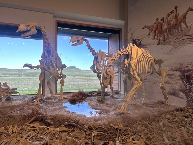 12 Hidden Nebraska Places Even Lifelong Residents May Have Never Visited - Decor Hint Agate Fossil Beds National Monument, near Harrison