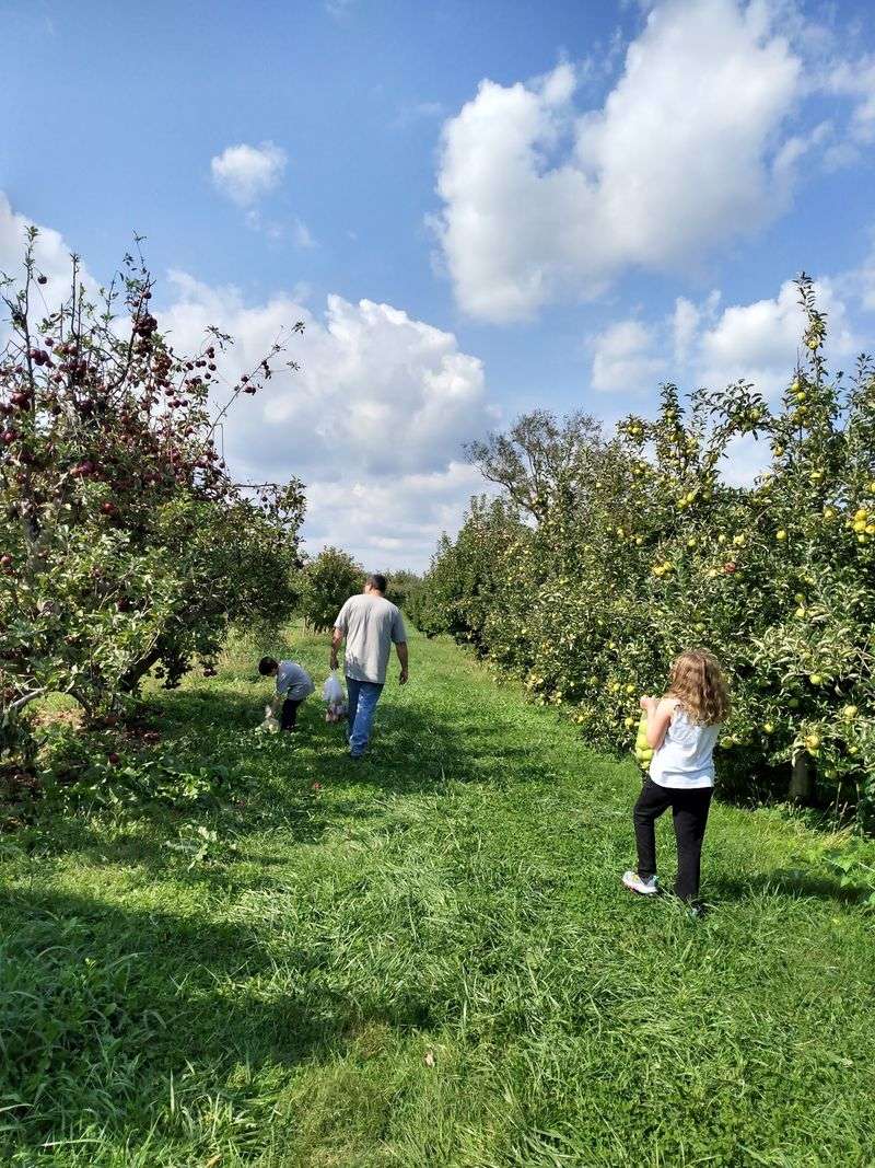 Reed Valley Orchard