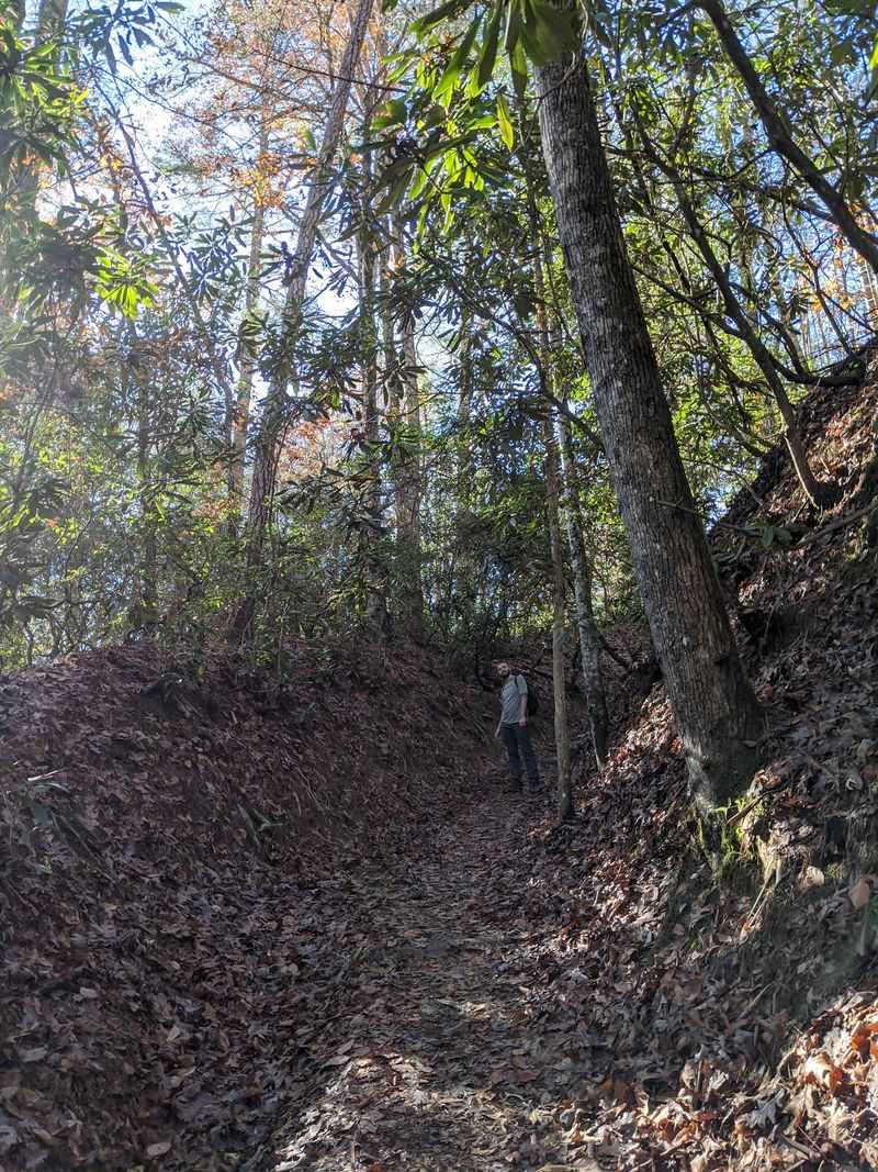Deep Creek Trail, Bryson City, North Carolina