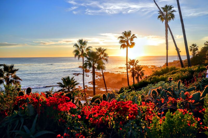 14 Southern California Beach Towns Where Sunshine And Coastal Charm Steal The Show - Decor Hint Laguna Beach