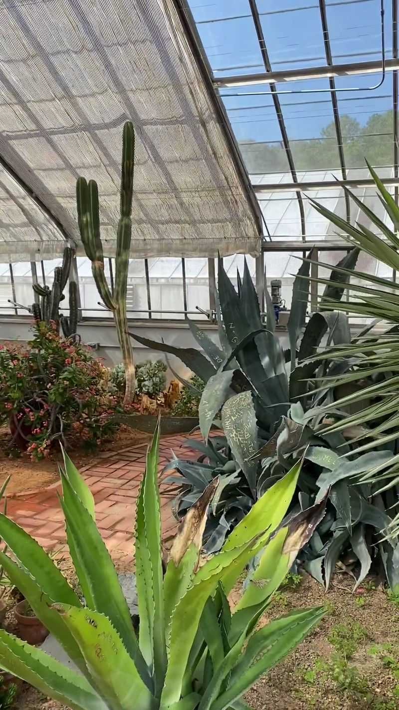 Alabama Is Home To A Beautiful Botanical Garden With Free Admission - Decor Hint The Iconic Glass Conservatory Inside