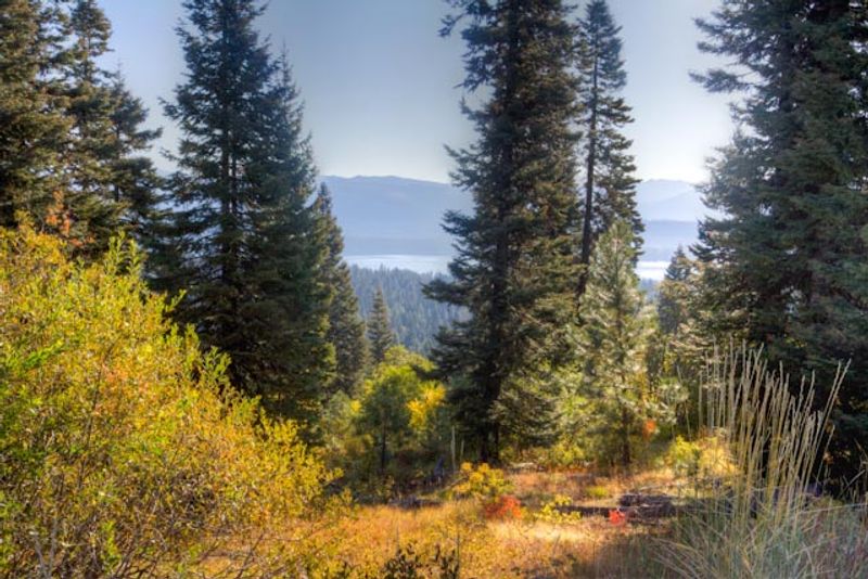 McCall's Lakeside Allure