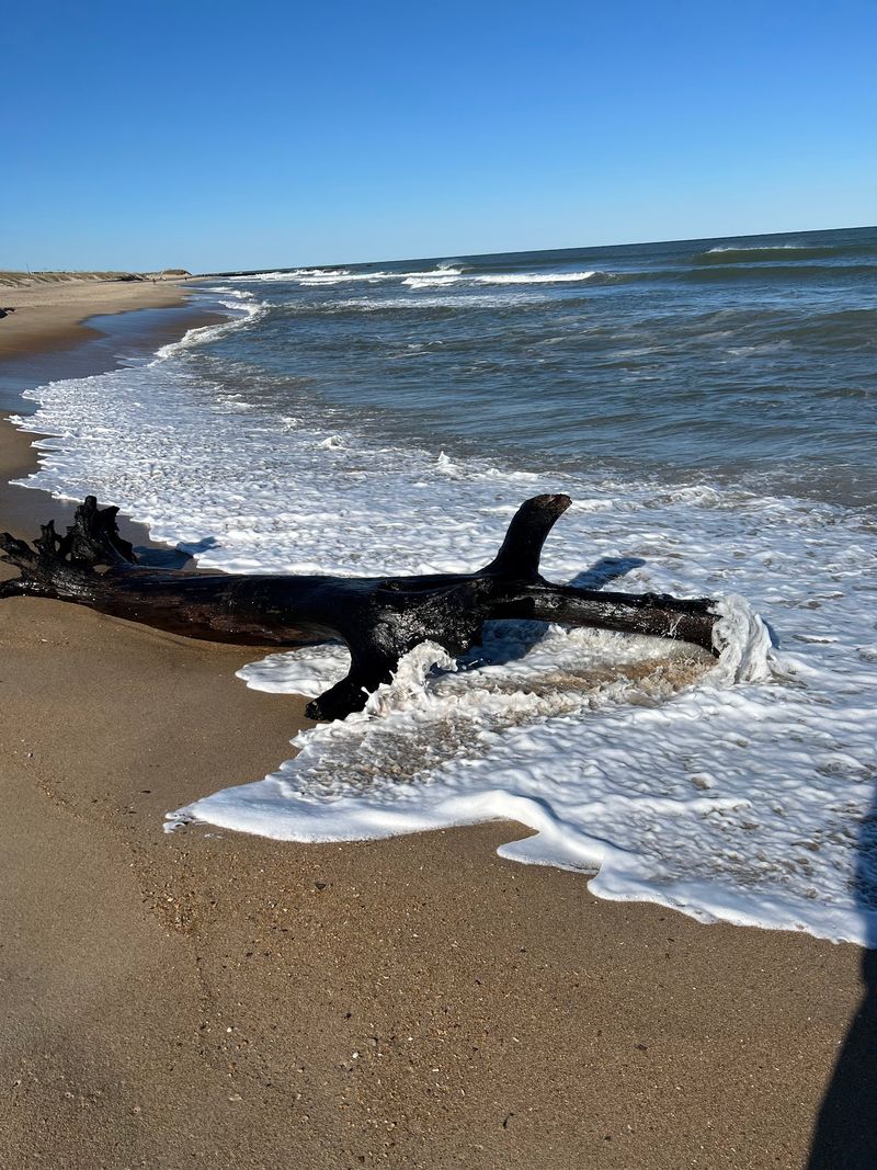 Cape Hatteras National Seashore, Hatteras Island, North Carolina