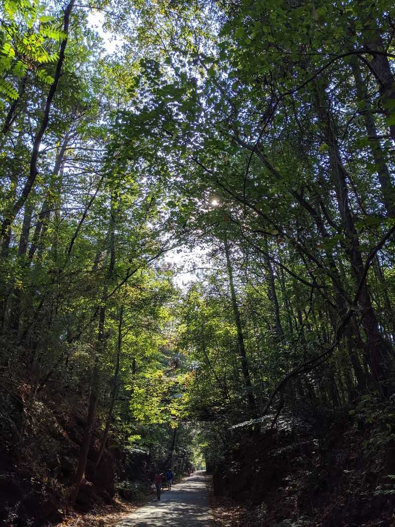Silver Comet Trail, Smyrna
