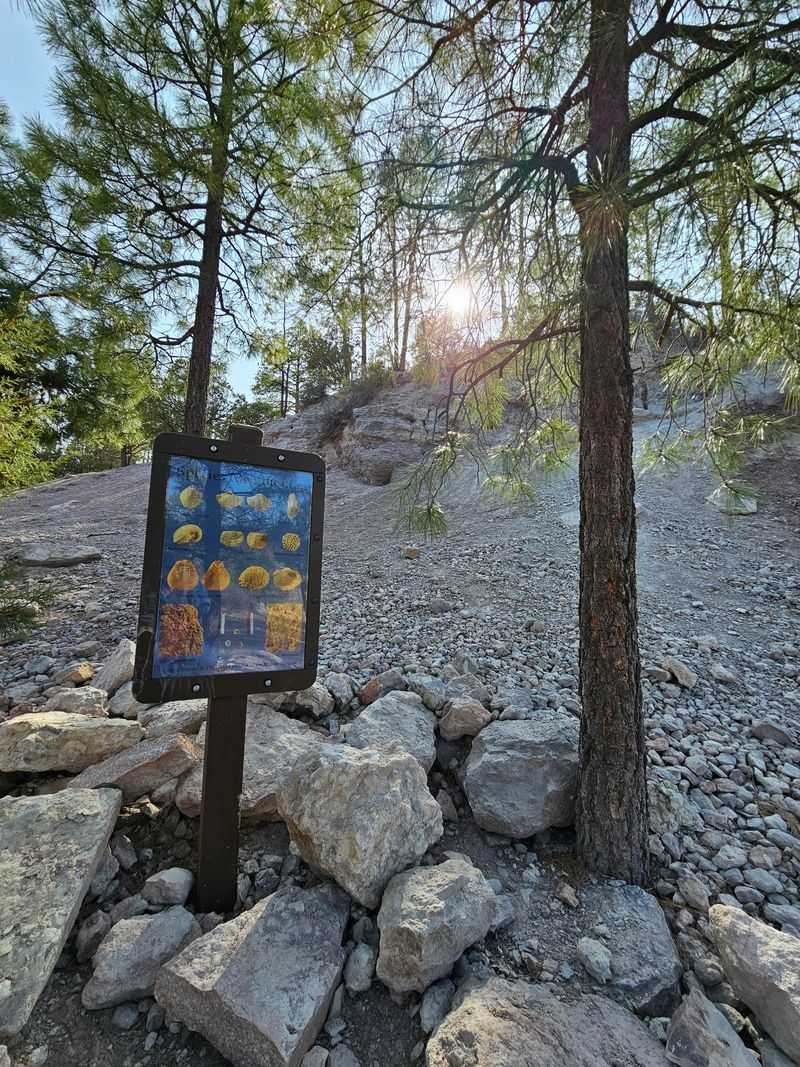 Paleo Site Monument, Payson