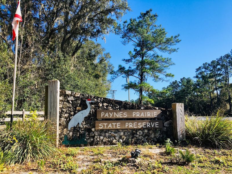 Paynes Prairie Preserve State Park, Micanopy