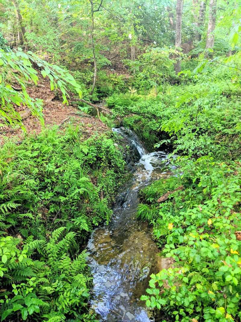 Over 40 Bird Species Call This Sanctuary Home