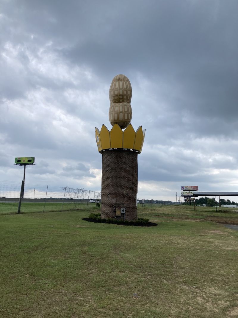 Ashburn's Crowned Legume Monument