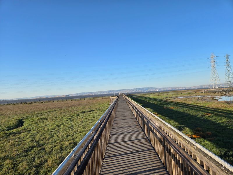 The Boardwalk That Carries Walkers Over Open Marsh