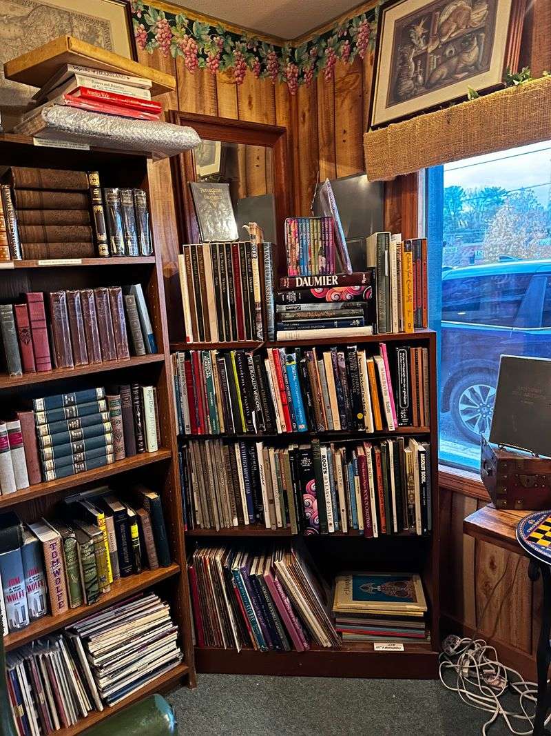 10 Georgia Used Bookstores Every Book Lover Should Visit In 2026 - Decor Hint Blue Ridge Booksellers, Blue Ridge