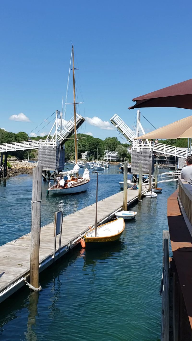 Lobster, Art, And A Drawbridge
