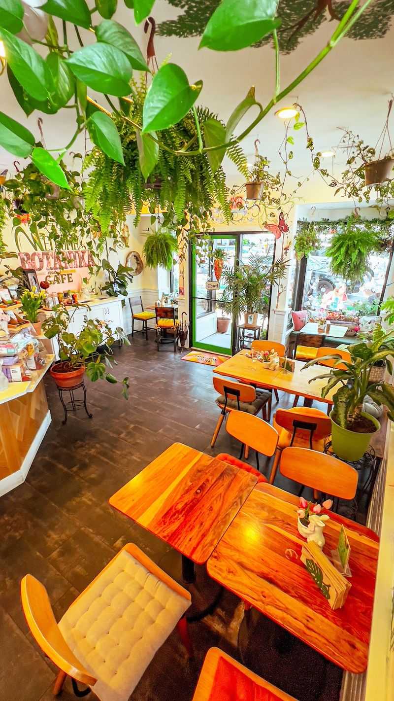This Plant-Filled Cafe Feels Different The Moment You Walk In
