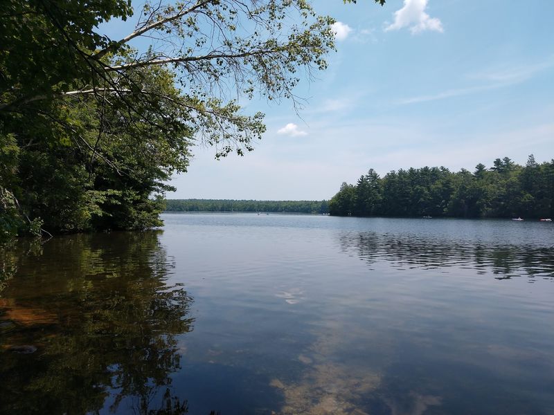 The Pond That Hides In Plain Sight