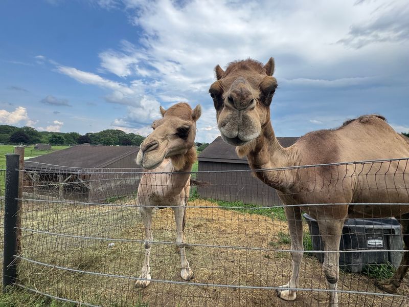 Former Dairy Farm Turned Hands-On Wildlife Adventure