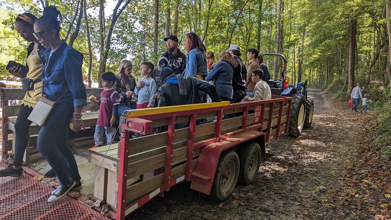 Tractor Rides That Haul You Straight To The Trees