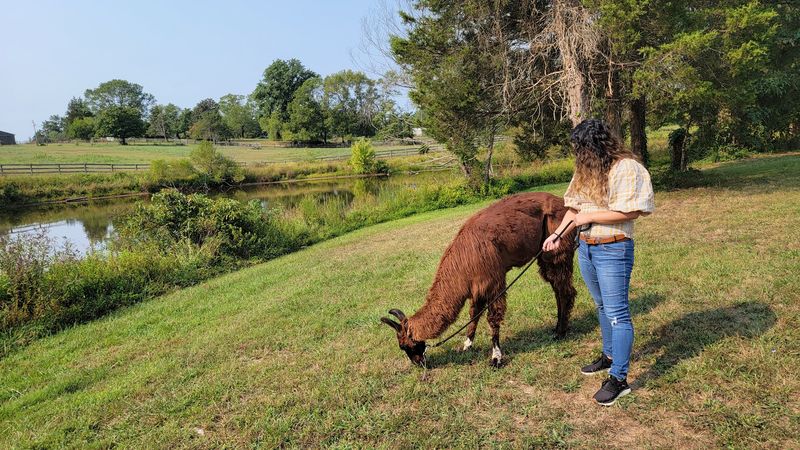 Choosing Your Hiking Partner