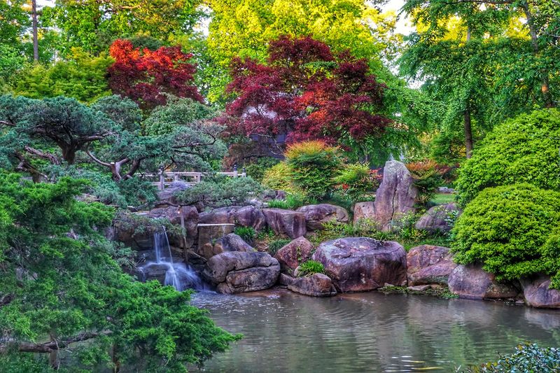 Alabama Is Home To A Beautiful Botanical Garden With Free Admission - Decor Hint 67 Acres Of Pure Botanical Wonder