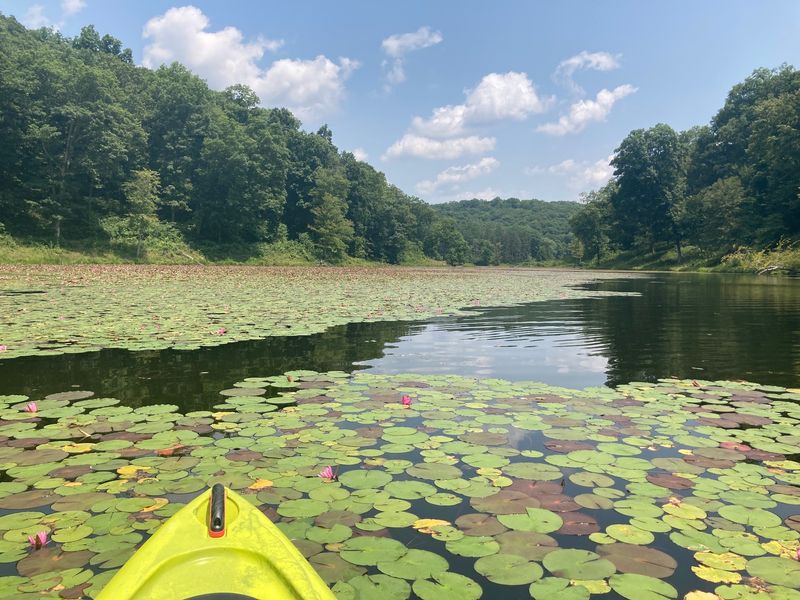 Paddling Season At Its Calmest