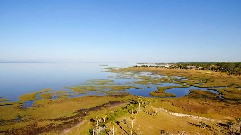 Big Bend Wildlife Management Area And Its Surprising Birds