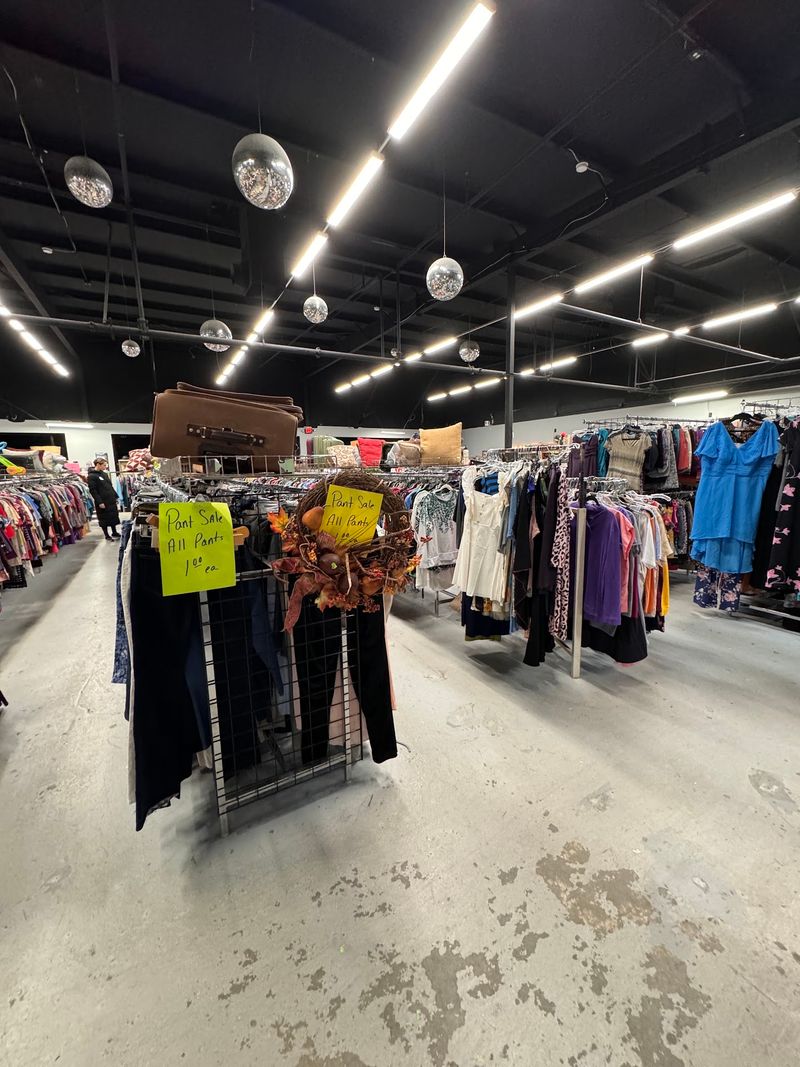 Inside The Organized Treasure Hunt