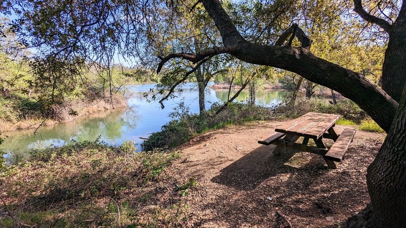 River Views That Stay With The Ride