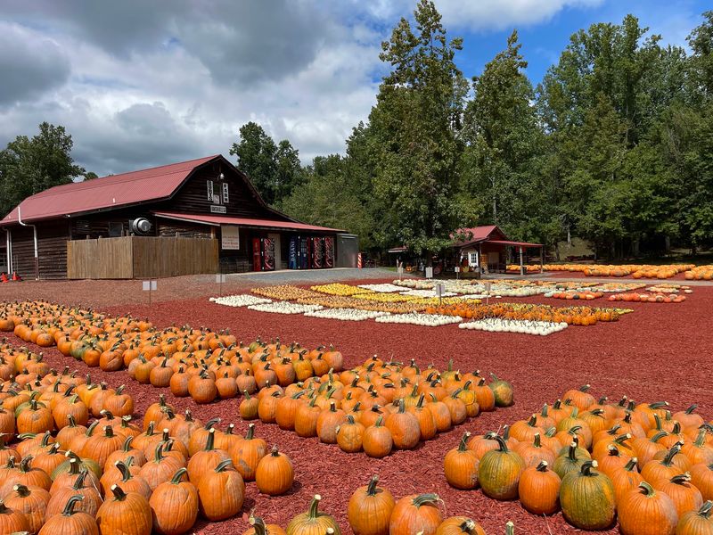 Hayrides That Locals Plan Their Weekends Around