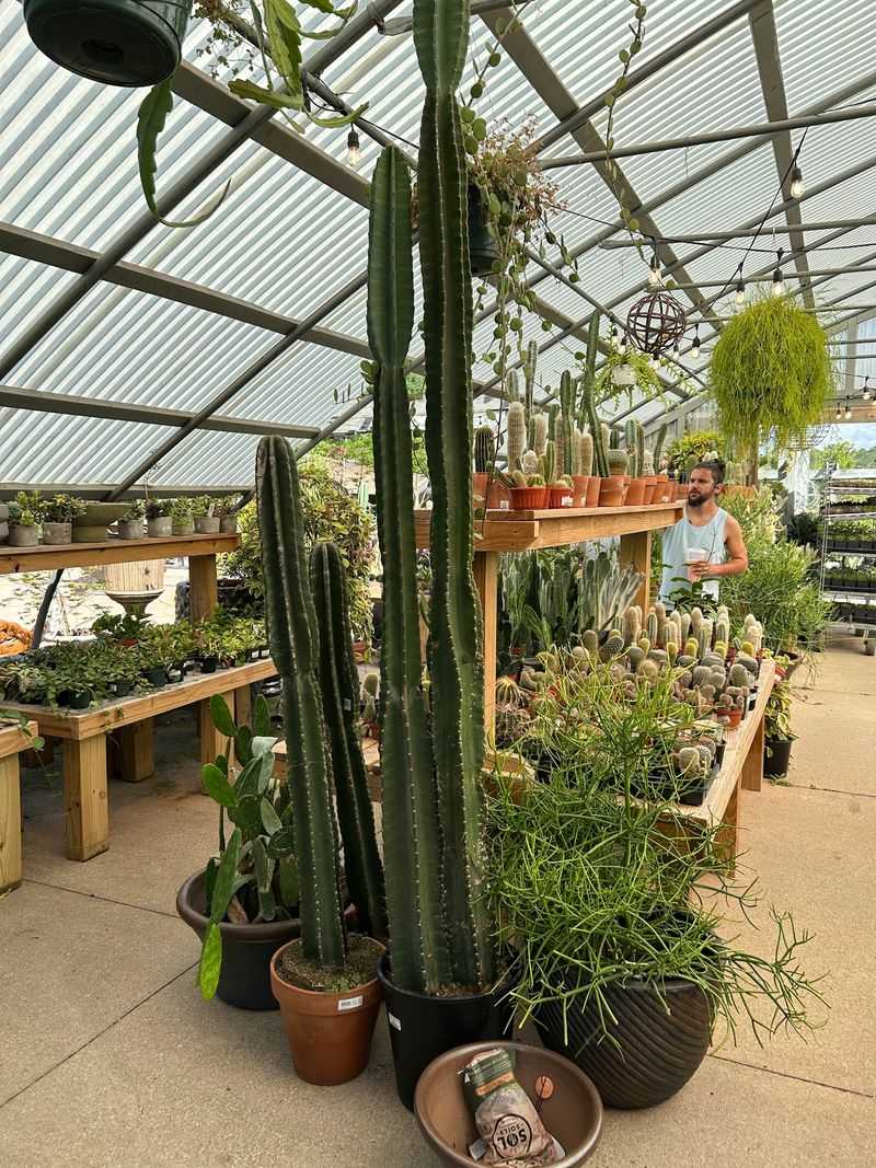 Perfect For A Solo Or Couple Visit Too