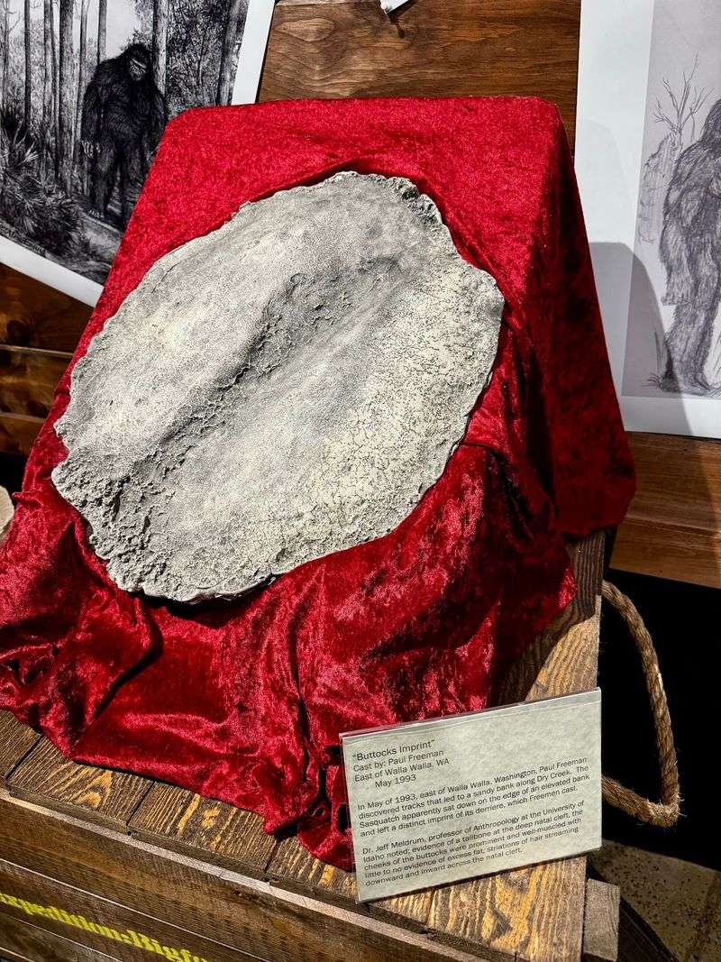 The World's Largest Permanent Collection Of Sasquatch Artifacts