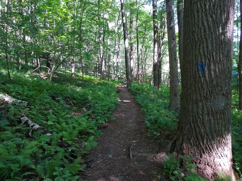 Trails Stretching Across 722 Acres