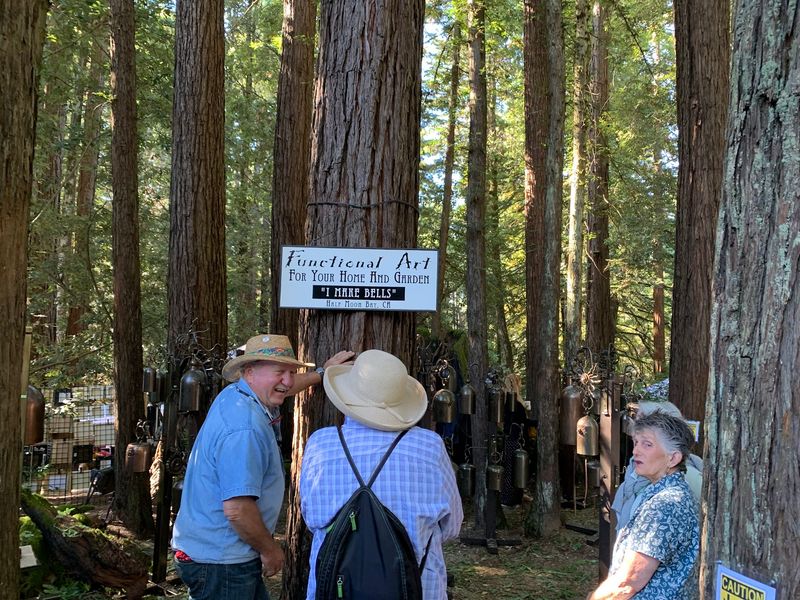 The Forest Itself Does The Work Of A Gallery