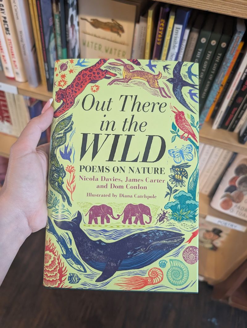 This Florida Bookstore Makes Its Atmosphere Just As Unforgettable As The Books - Decor Hint Local Pride Woven Into Every Section