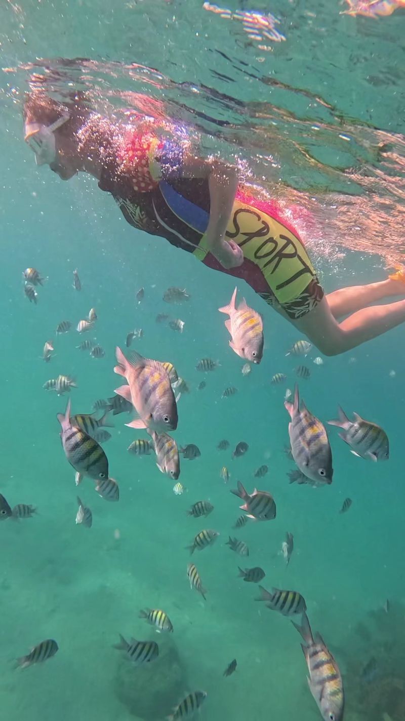 Conservation Rules That Protect the Reef