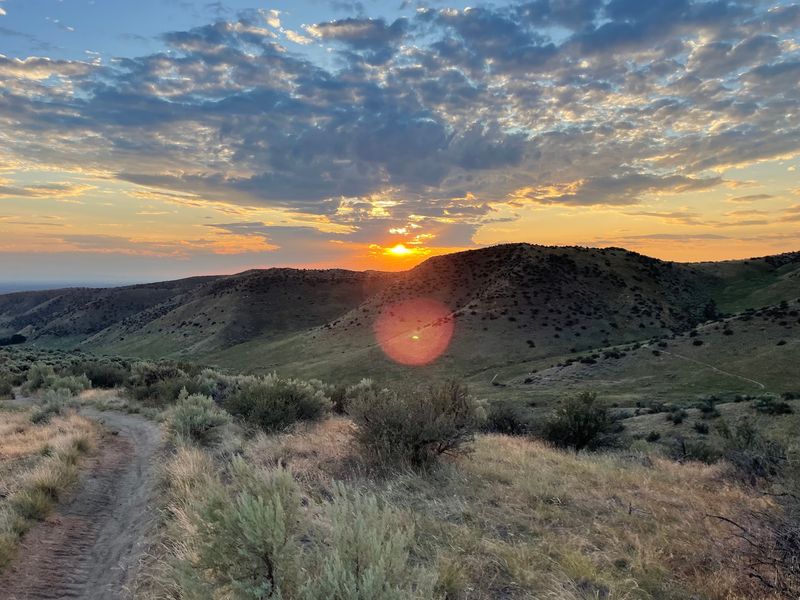 Conservation Behind The Scenery