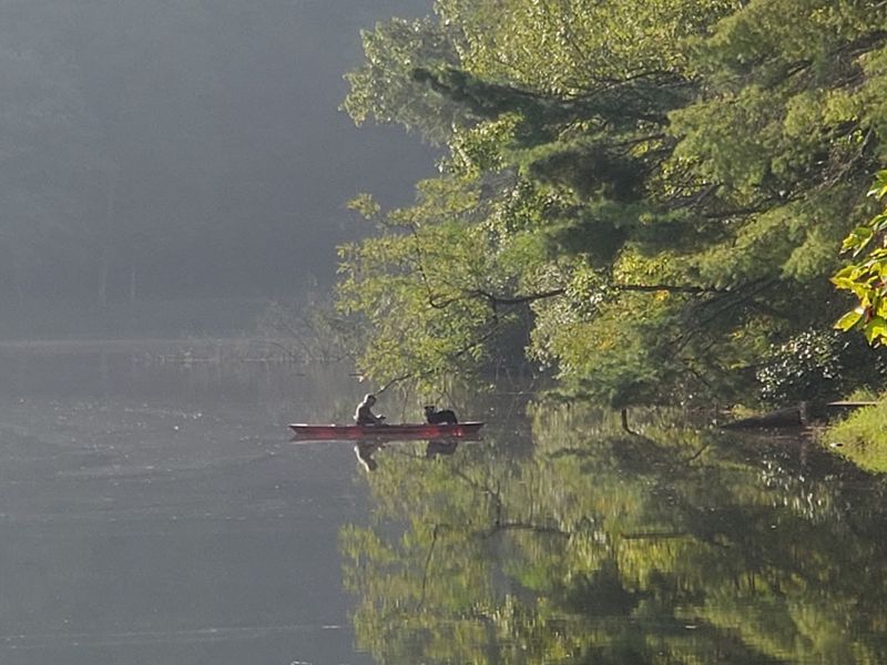 Paddling Without An Engine Racing Past You